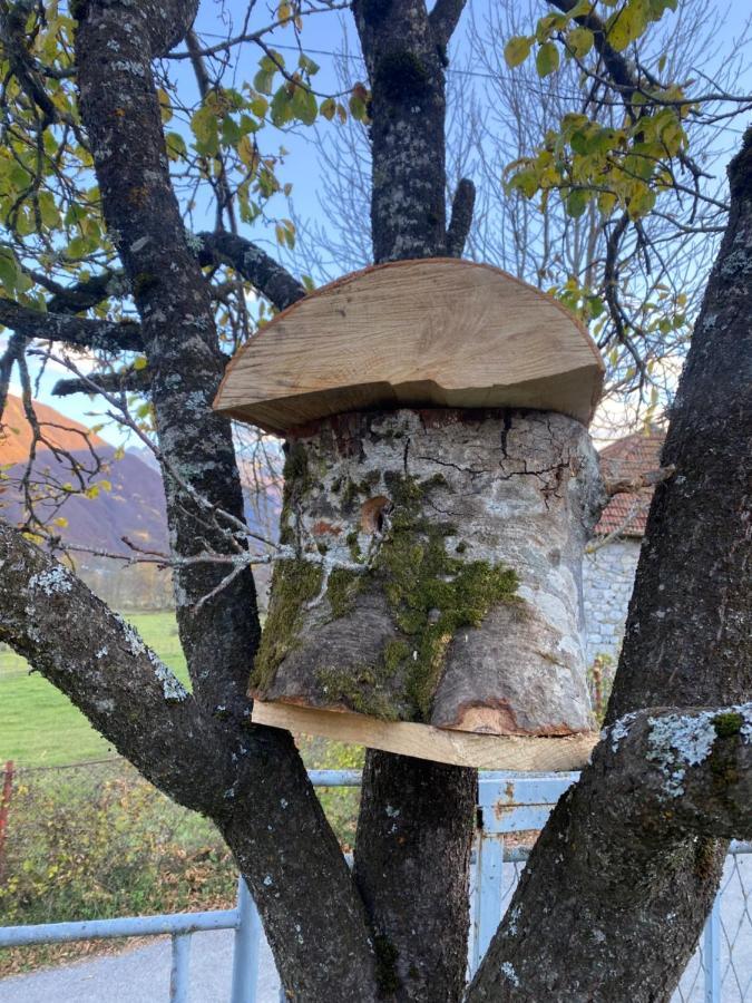 Casa Illyria Lägenhet Gusinje Exteriör bild